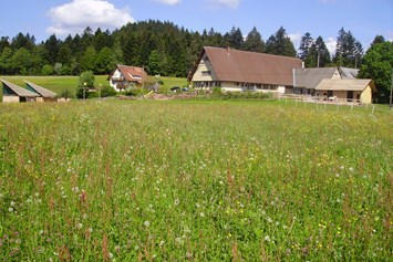 Glampingunterkunft: Podhaus am Äckerhof -  Mitten im Schwarzwald