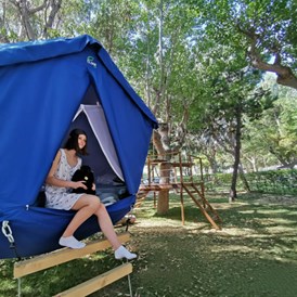 Glampingunterkunft: Tree Tent Syrah auf Eurcamping