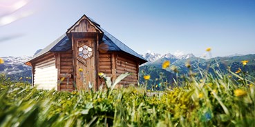 Luxuscamping - Art der Unterkunft: Tiny House - Traumnest Glamping - Traumnest Glamping Hahnenmoos Adelboden