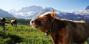 Luxuscamping - Kiosk - Natur Traumnest Glamping - Traumnest Glamping Hahnenmoos Adelboden