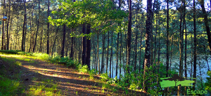 Luxuscamping - Gartenmöbel - Portugal - Lima Escape Glamour Bell Tent von Lima Escape