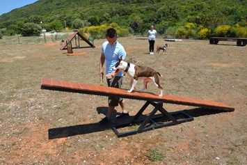 Glampingunterkunft: Camping mit Hund Projekt - Freedhome Mobilheime auf Camping Slatina