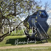 Luxuscamping: Bild - Grüne Wiek Wabenhausherberge
