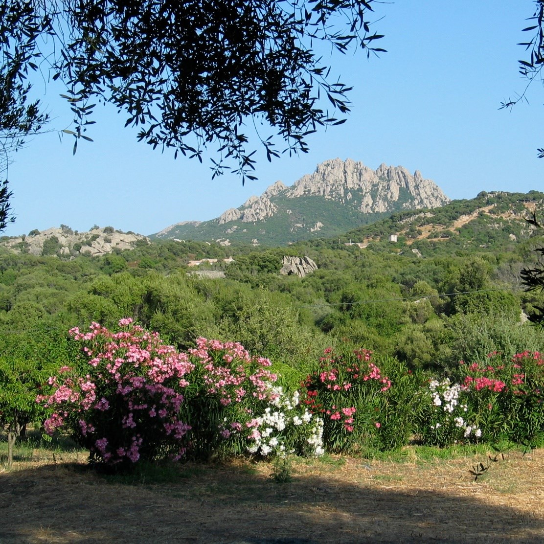 Glamping: auf dem privaten Grundstück - Königszelt in Sardinien