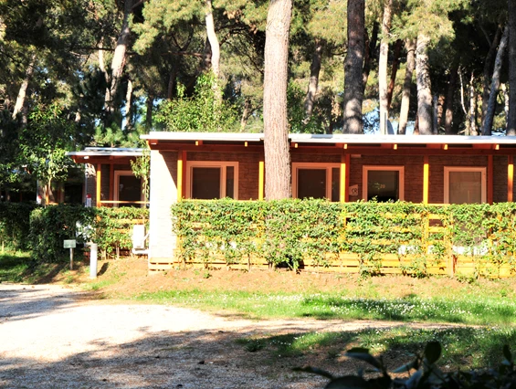 Glamping-Resorts