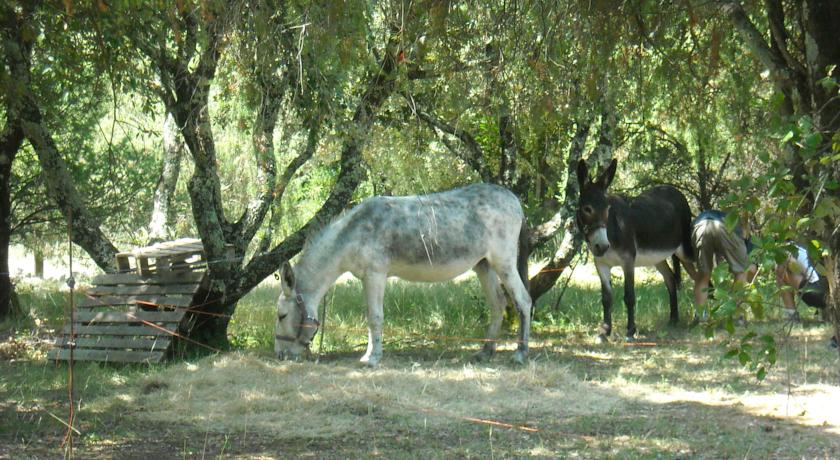 Glamping: Mille Etoiles