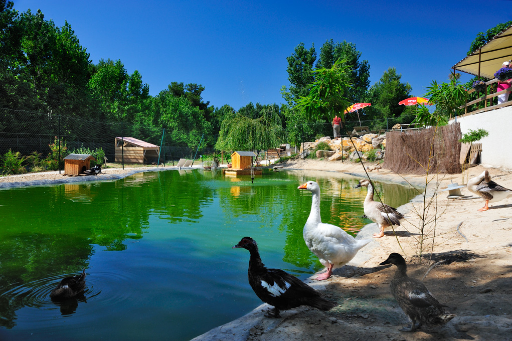 Luxuscamping - Languedoc-Roussillon - Domaine La Yole Wine Resort