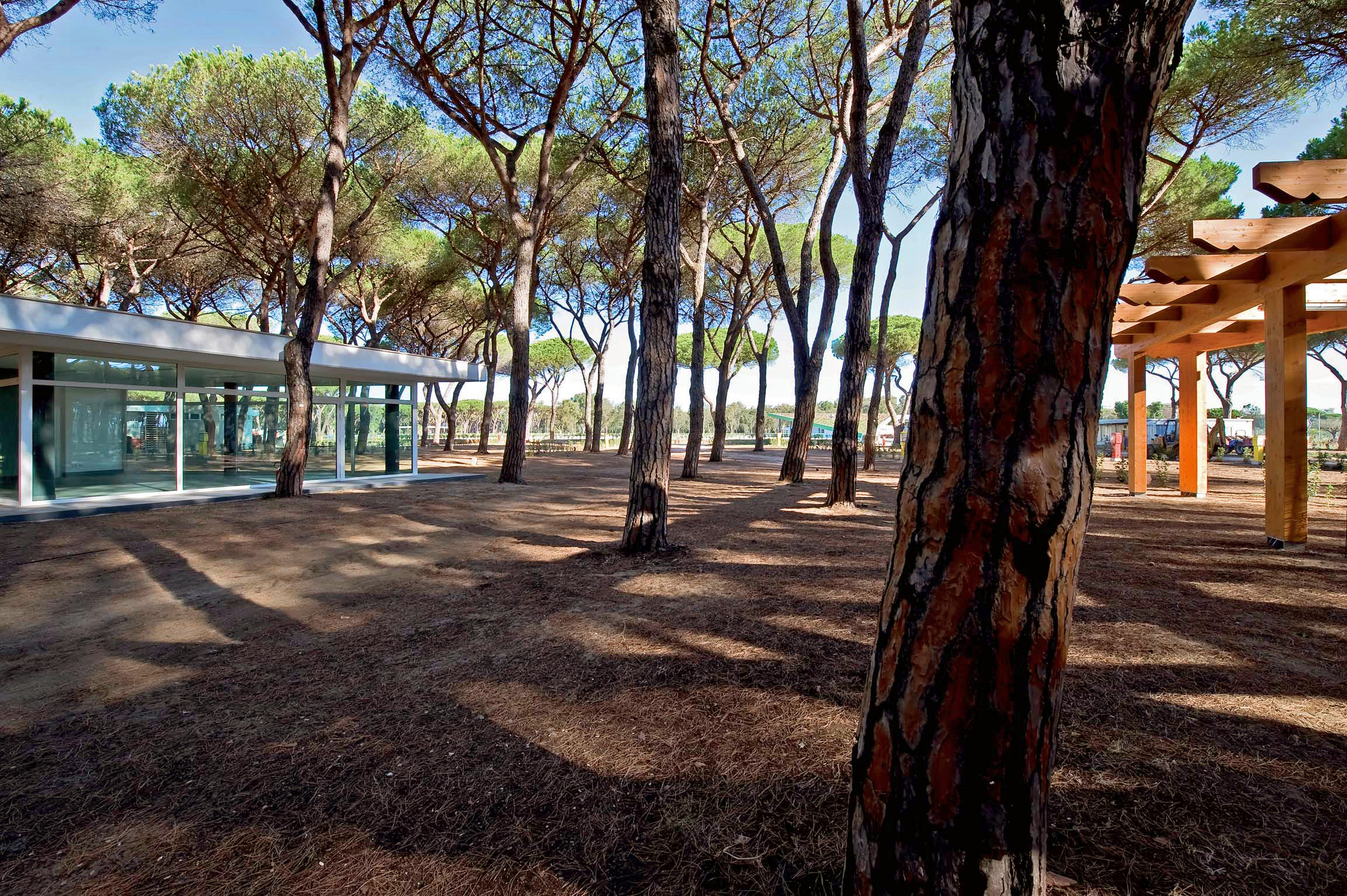 Glamping: Camping Village Roma Capitol - Suncamp