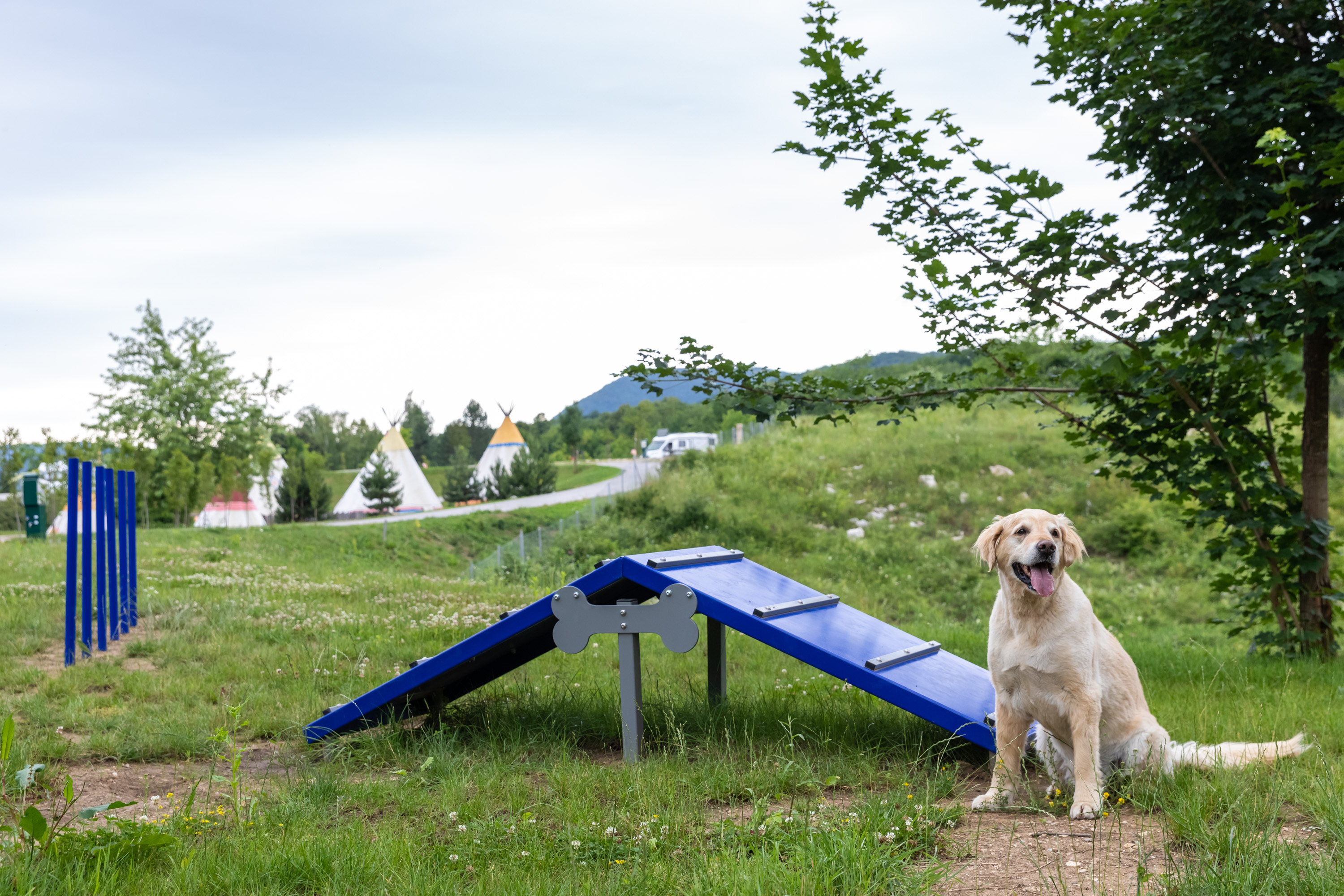 Glamping: Hundeplatz - Plitvice Holiday Resort