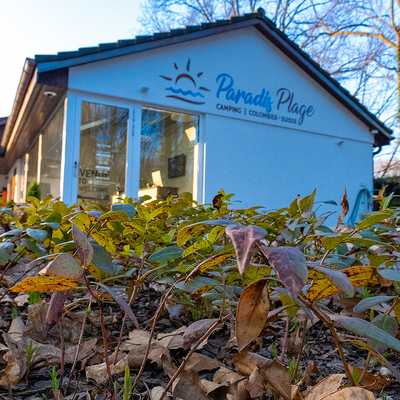 Campeggio di lusso - Restaurant - Svizzera - Restaurant - Camping Paradis Plage