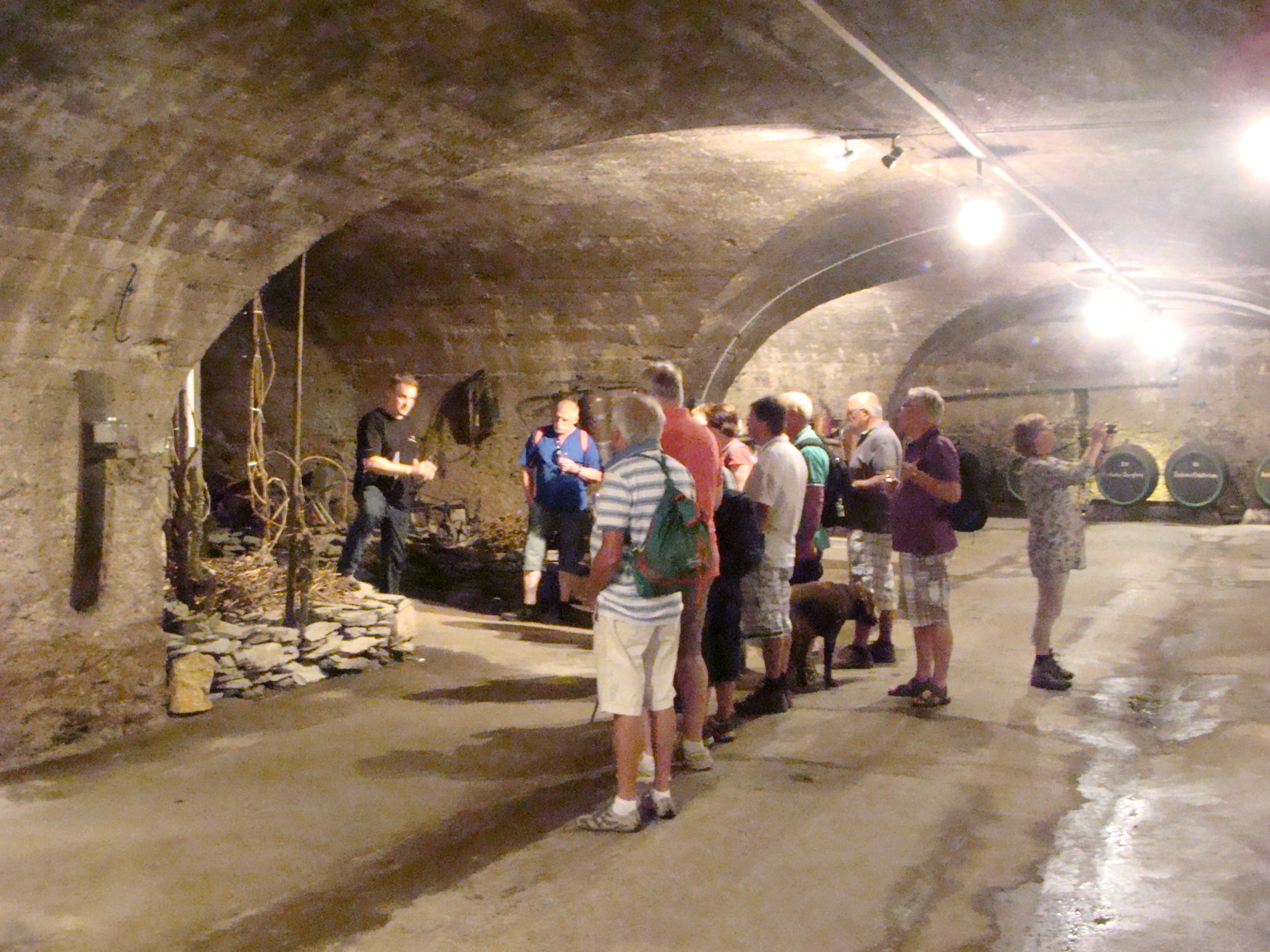 Glamping: Weinstadt Traben-Trarbach / Mosel - Moselcampingplatz Rissbach