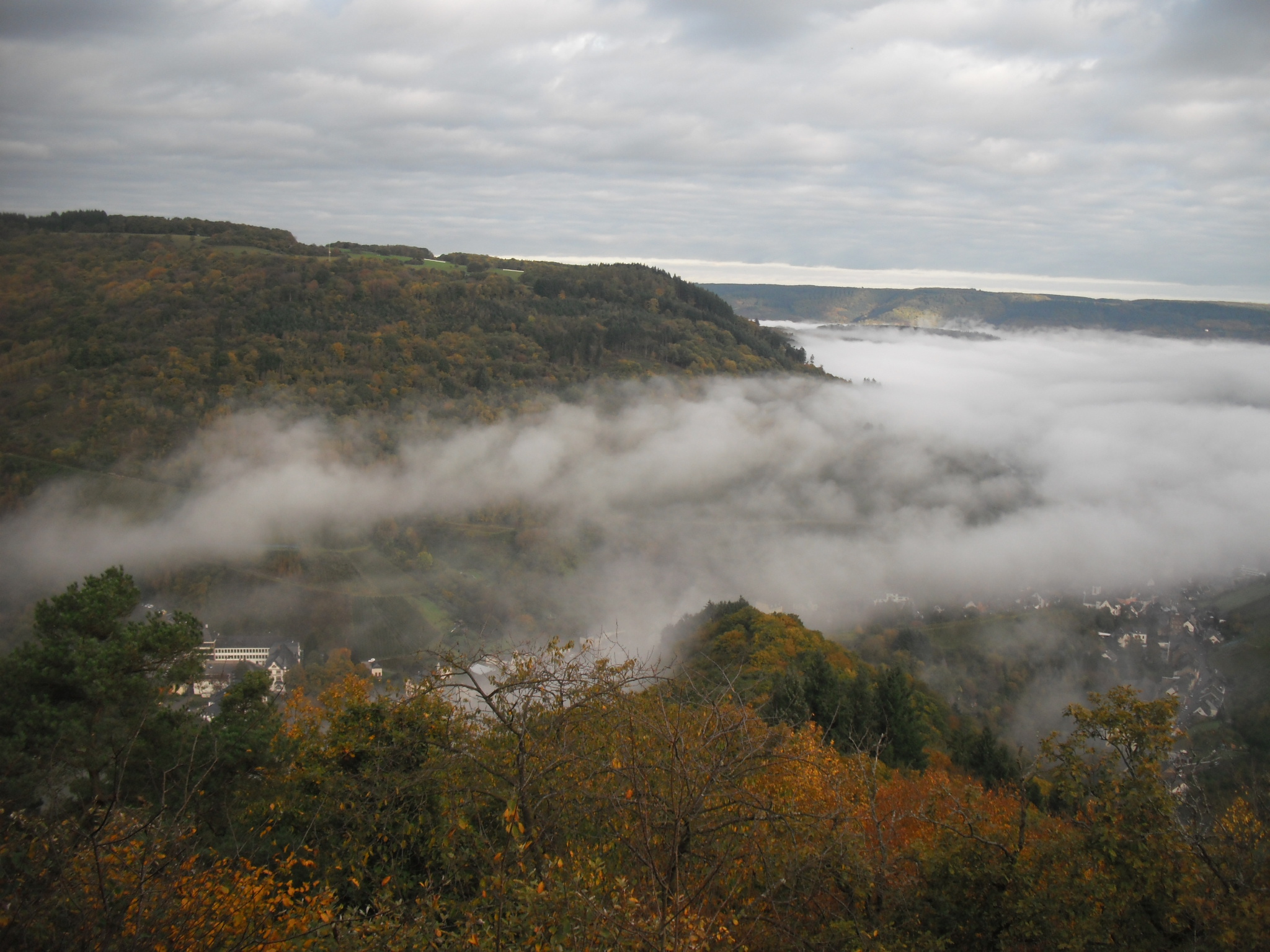 Glamping: Romantisch Moseltal - Moselcampingplatz Rissbach