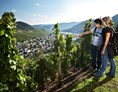 Glamping: Wandern entlang die Moselweinberge - Schlaffass / Campingfass / Weinfass in Traben-Trarbach an der Mosel