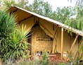 Glamping: Safari Lodge für 4 Personen - Procida Camp & Resort - GOOUTSIDE