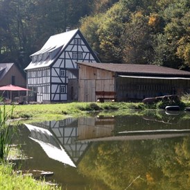 Glamping: Anlage mit Mühlensee - Baumhaushotel Seemühle