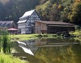 Glamping: Anlage mit Mühlensee - Baumhaushotel Seemühle