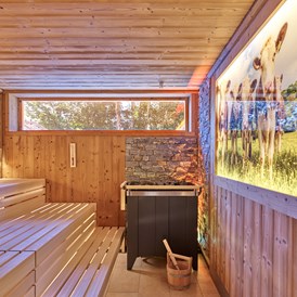 Glamping: Die finnische Sauna in unserer Thermal-Vital-Oase. - Kur- und Feriencamping Holmernhof Dreiquellenbad