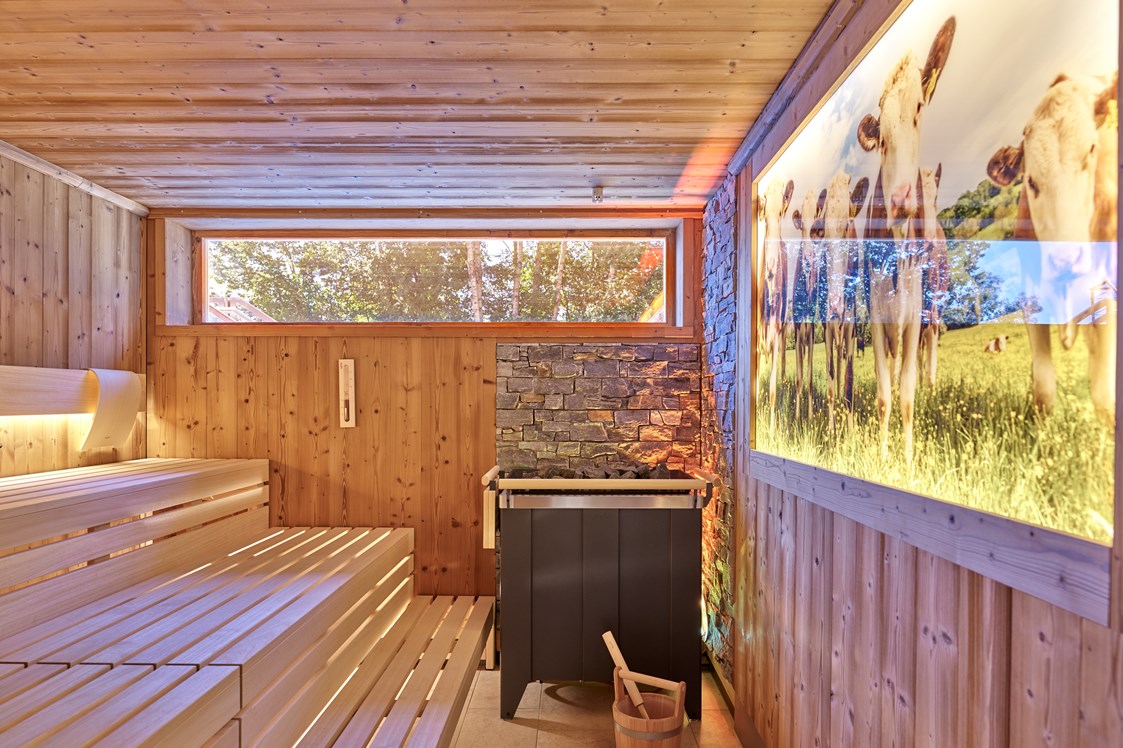 Glamping: Die finnische Sauna in unserer Thermal-Vital-Oase. - Kur- und Feriencamping Holmernhof Dreiquellenbad