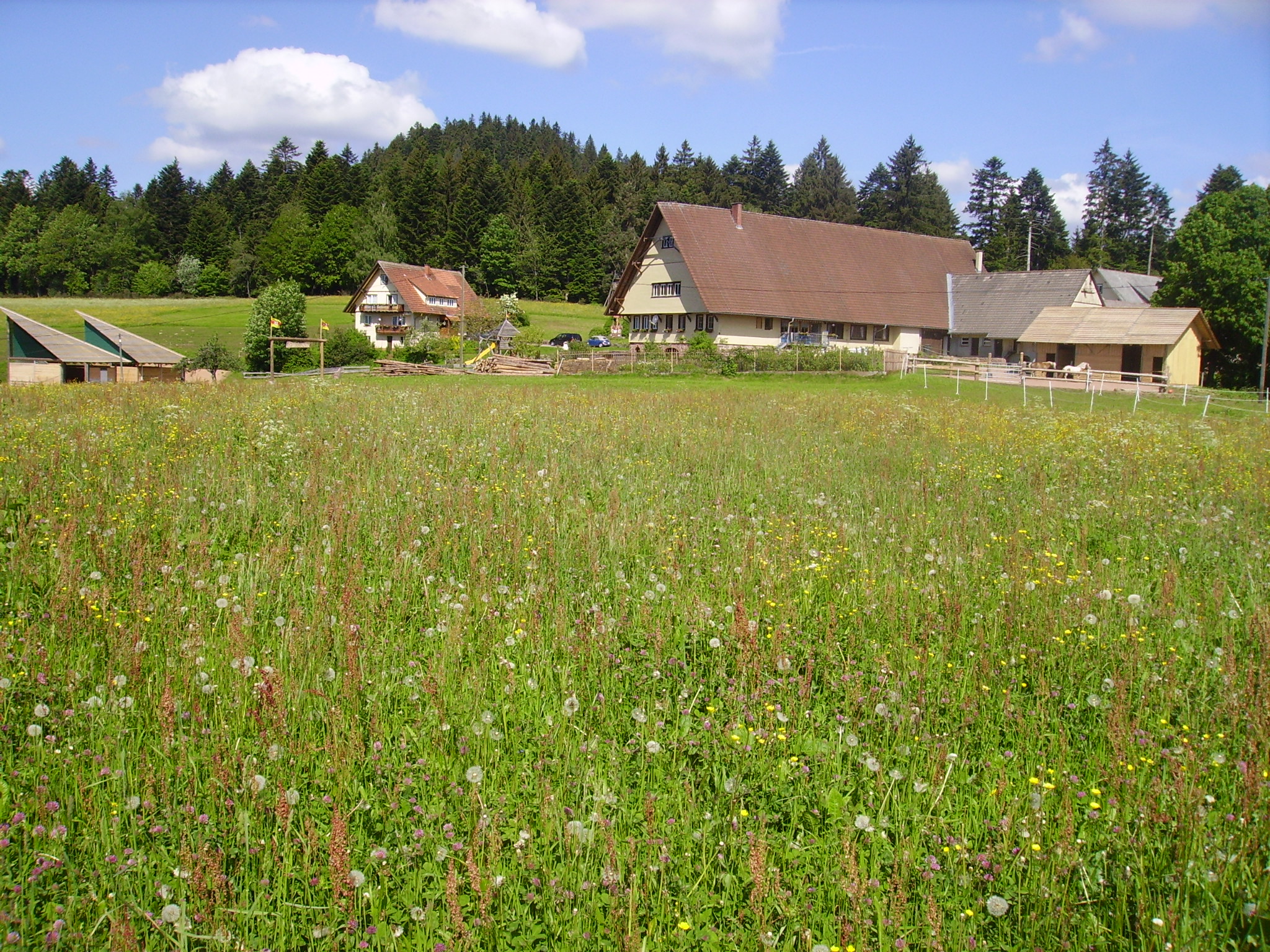 Glamping: Äckerhof -  Mitten im Schwarzwald