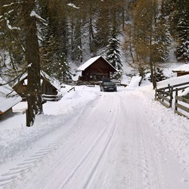 Glamping: Hüttenzufahrt im Winter - Bergheim Schmidts Almhütten und Stellplätze