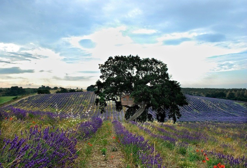 Glamping: Bildquelle: http://www.lapiantata.it/, Suite Bleue - La Piantata
