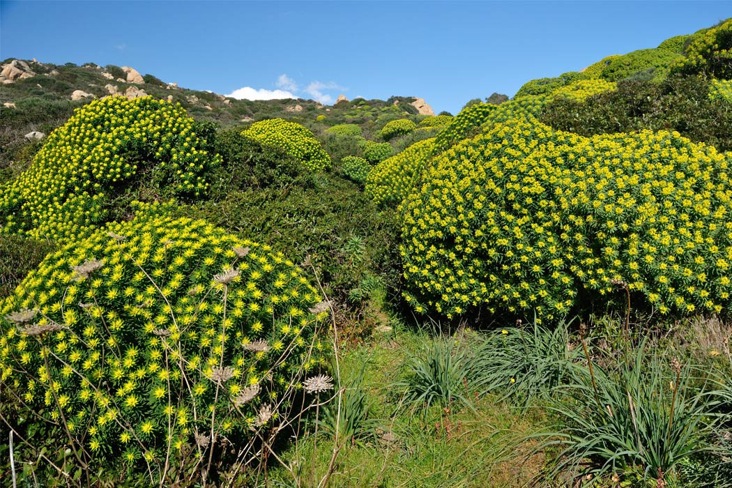 Glamping: Camping 4 Mori Family Village - Vacanceselect