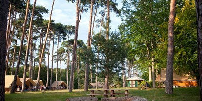 Luxuscamping - Essonne - Zeltbungalow Rambouillet  - Camping Huttopia Rambouillet Zeltbungalow Huttopia auf Camping Huttopia Rambouillet