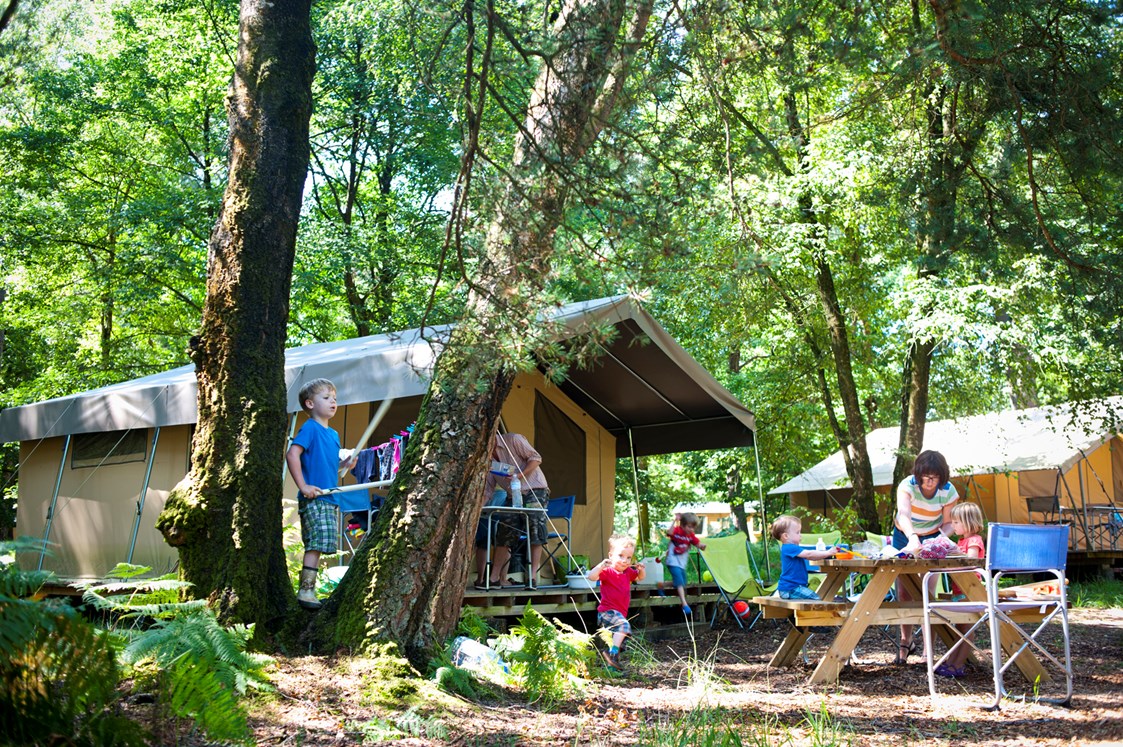Glampingunterkunft: Zelt Toile & Bois Sweet - Aussenansicht - Zelt Toile & Bois Sweet für 5 Pers. auf Camping Huttopia Le Moulin