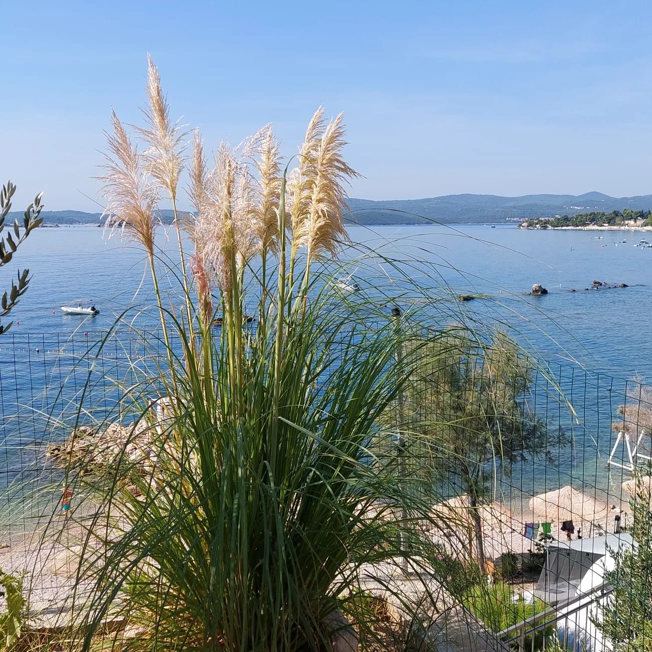 Glamping: nature - Lavanda Camping****