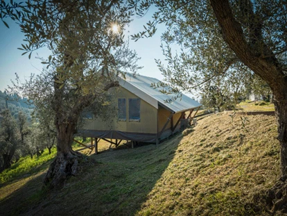 Luxury camping - Podere Cortesi - Glamping tents - Podere Cortesi - Agriturismo e Glamping