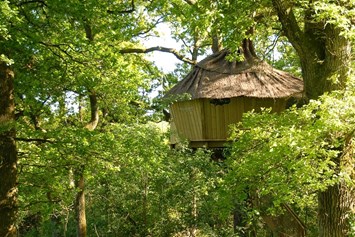 Glampingunterkunft: Baumhaus von außen - Baumhaus für 2 Personen auf Domaine des Alicourts