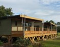 Glampingunterkunft: Cottage MARBELLA - Cottage MARBELLA auf Yelloh! Village Camping Resort & Spa Sylvamar