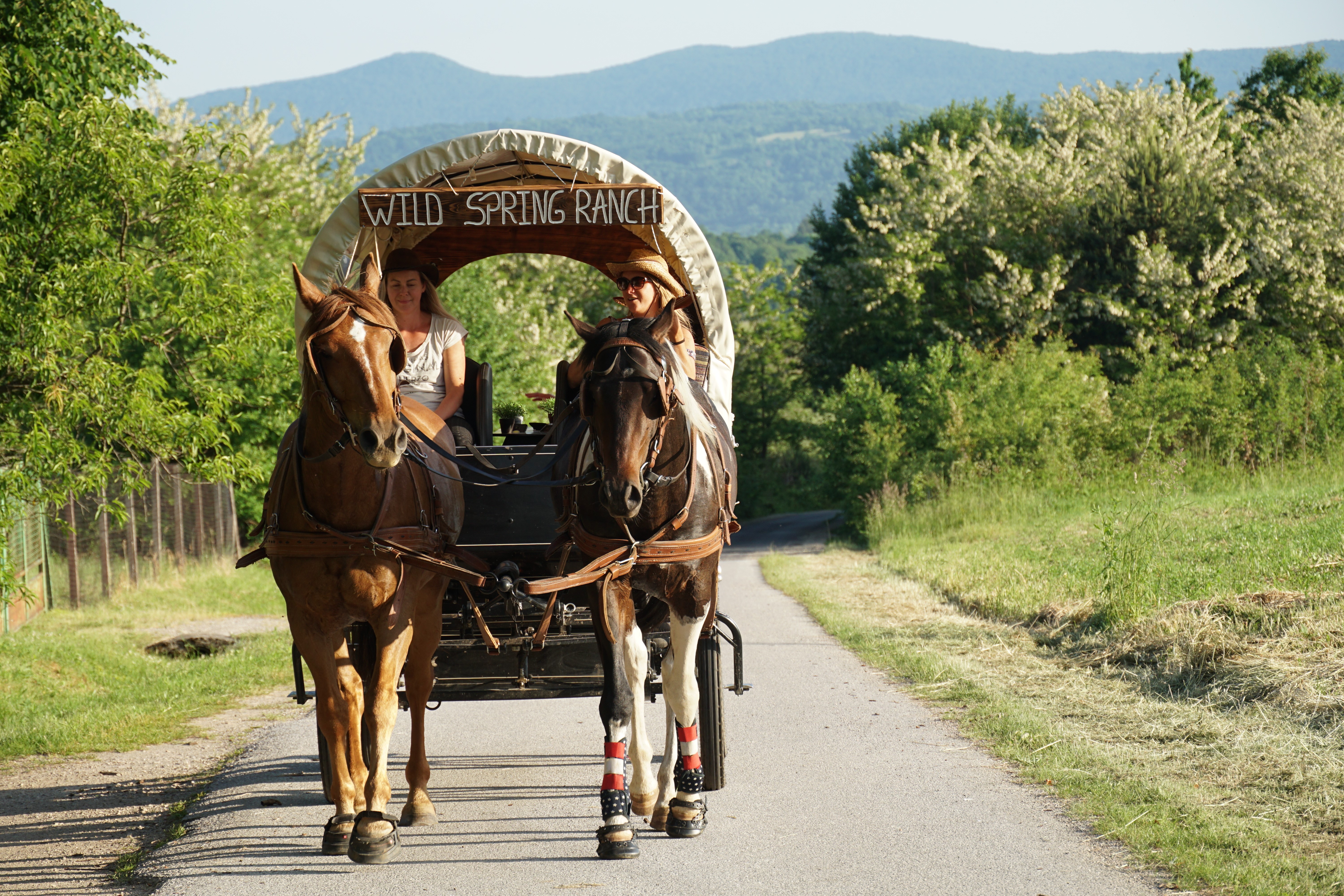 Glampingunterkunft: Appartement