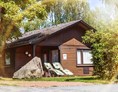 Glampingunterkunft: Ferienhaus Typ B auf Camping- und Ferienpark Teichmann