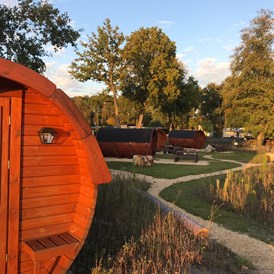 Glampingunterkunft: Schlaffässer mit schöner Anlage und alter Baumbestand runden das Dorfambiente ab. - Campingpark Heidewald