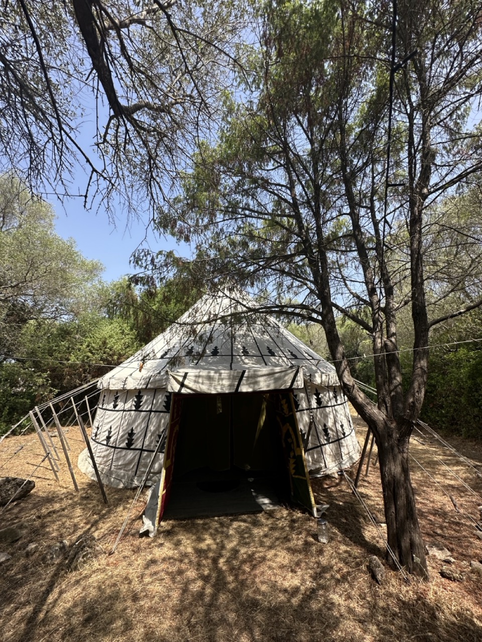 Glampingunterkunft: Königszelt in Sardinien