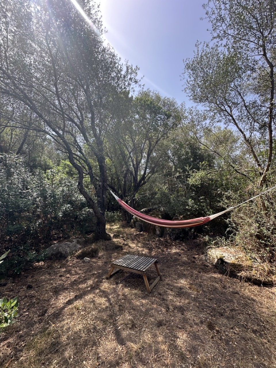 Glampingunterkunft: Königszelt in Sardinien