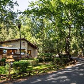 Glampingunterkunft: SunLodge Redwood von Suncamp auf Camping Village Cavallino