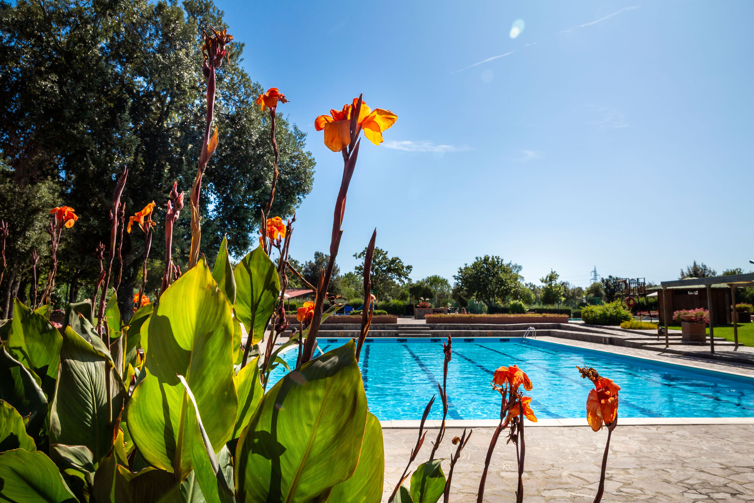 Glampingunterkunft: SunLodge Redwood von Suncamp auf Camping Village Cavallino