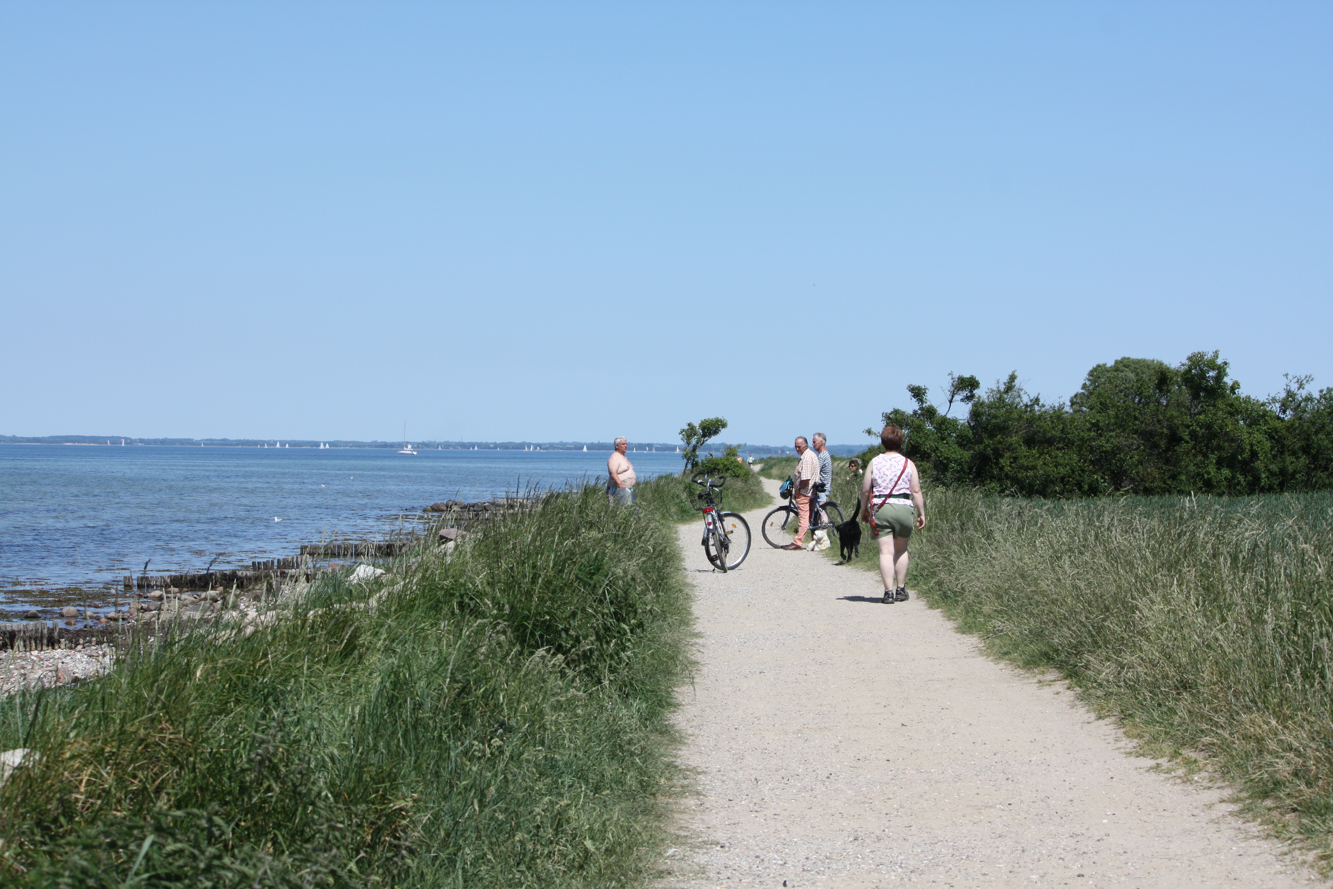 Glampingunterkunft: Glamping Caravan