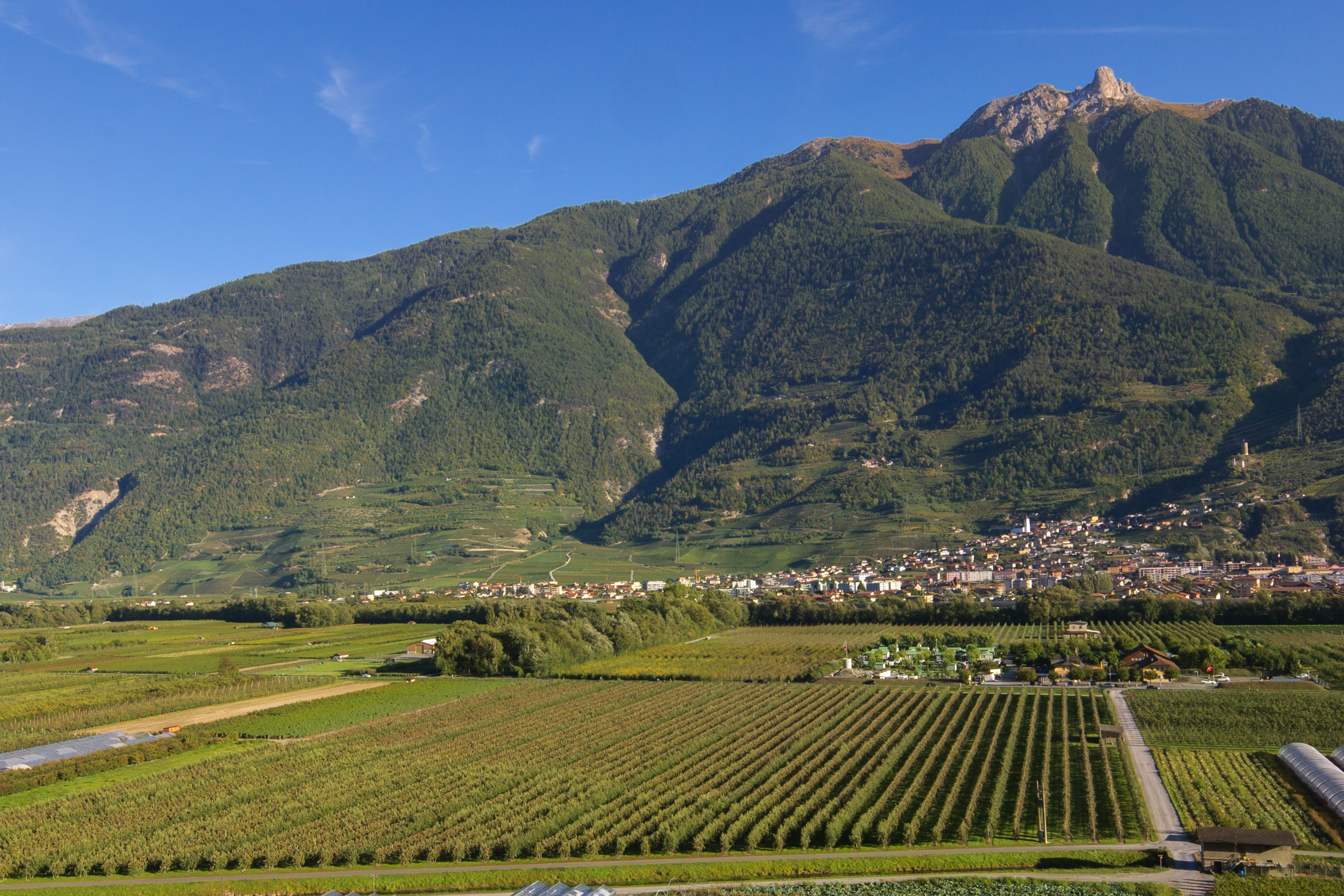 Glampingunterkunft: Eingebettet in Obstplantagen und Natur - Klassische Mietchalets am Camping de la Sarvaz