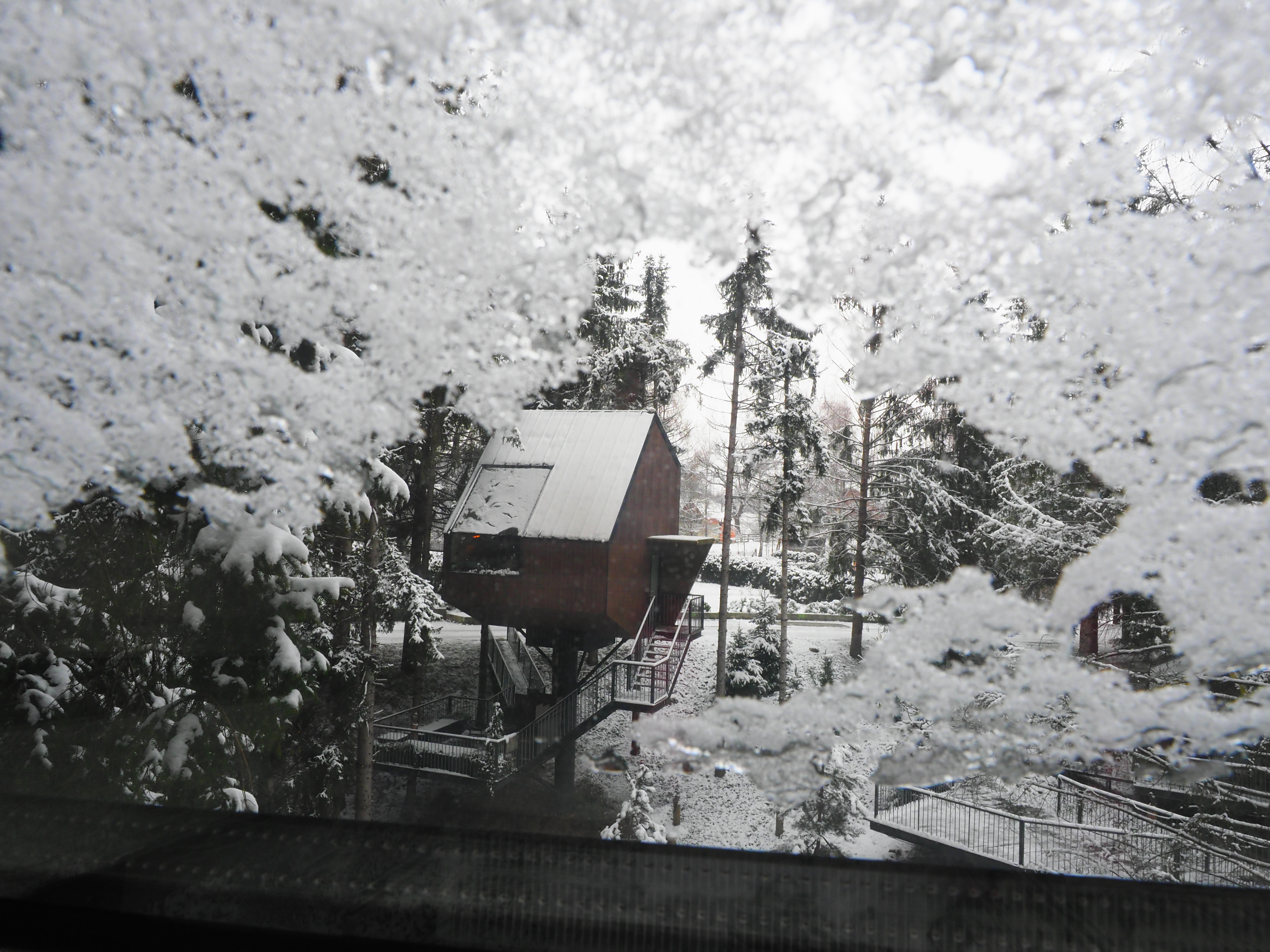 Glampingunterkunft: Holzhaus