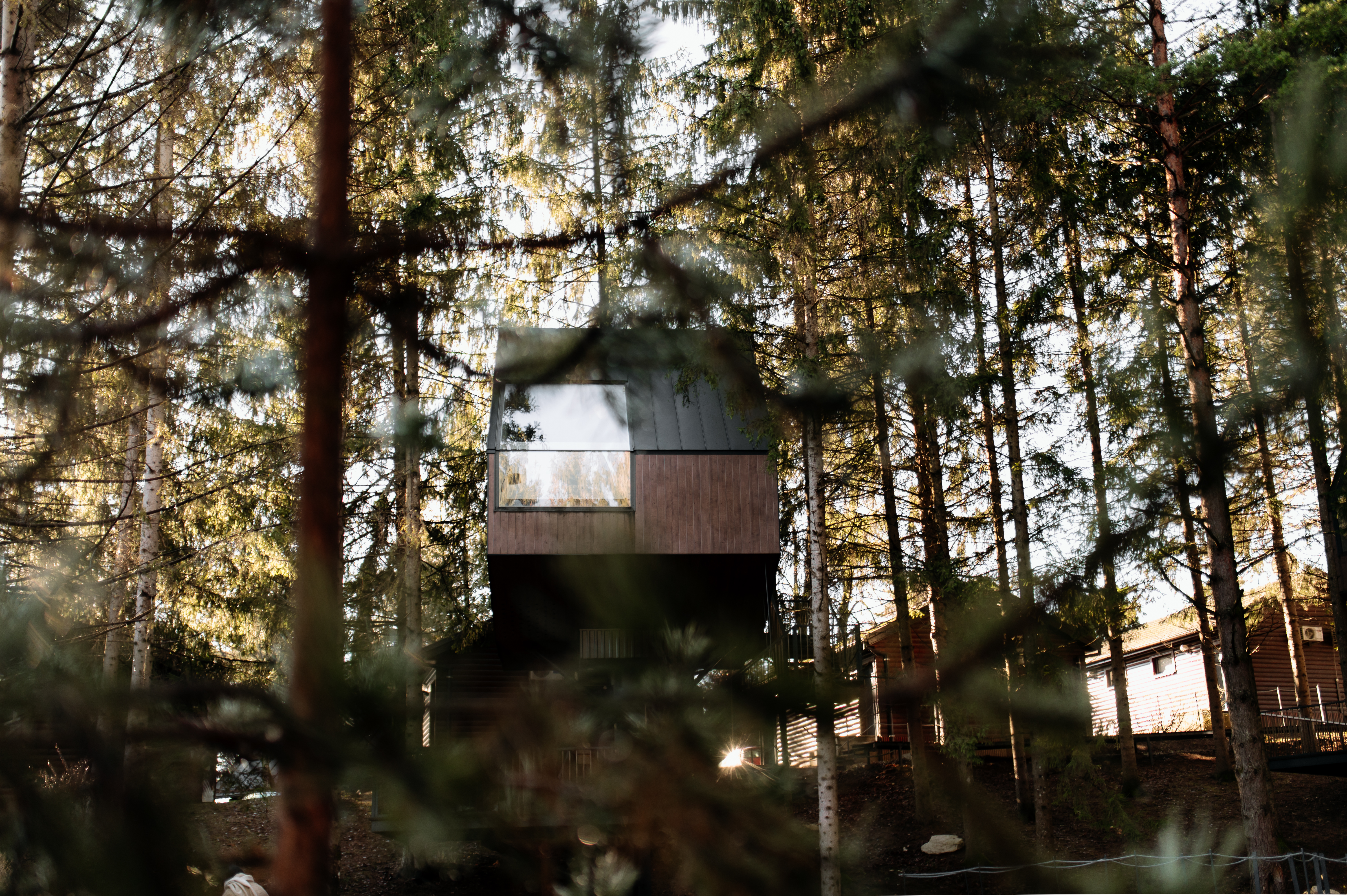 Glampingunterkunft: Holzhaus