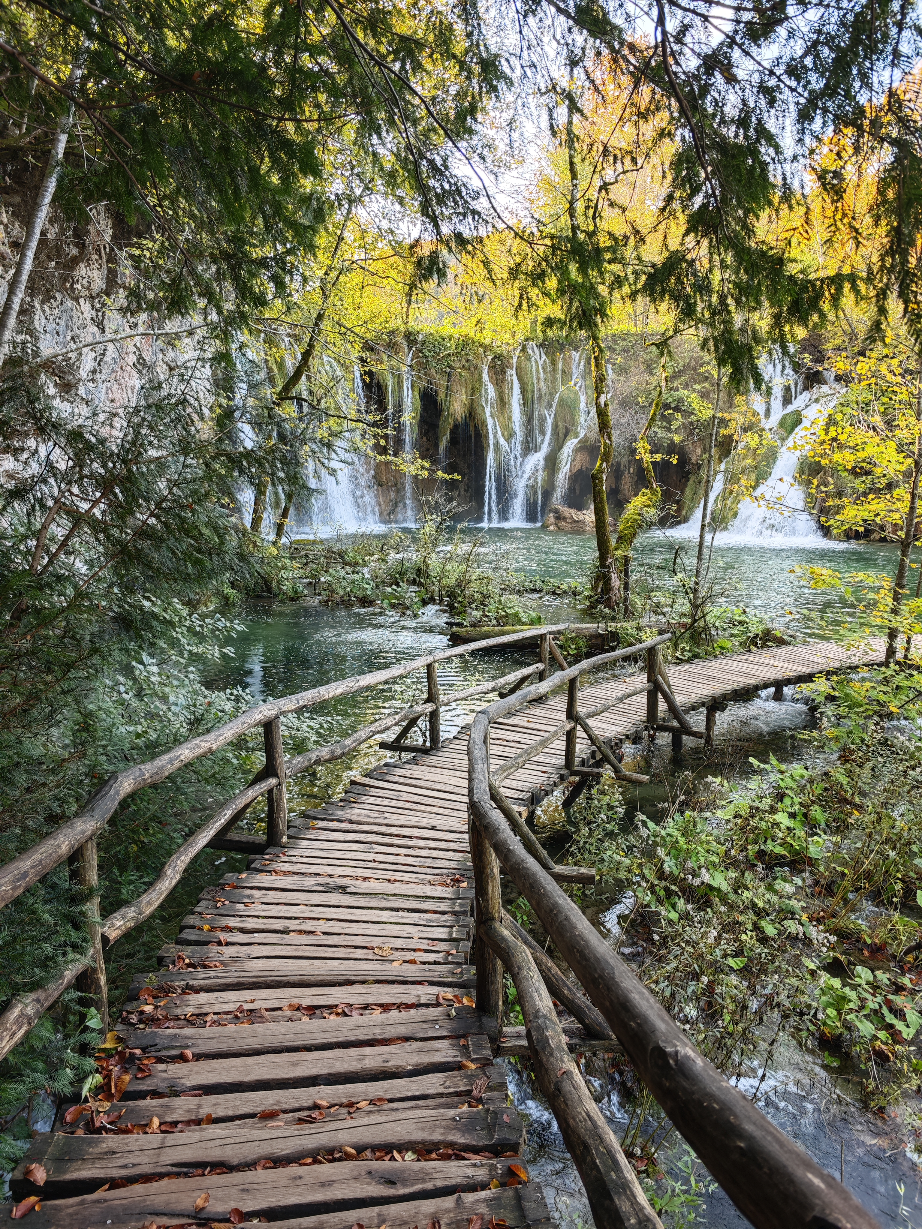 Glampingunterkunft: Holzhaus