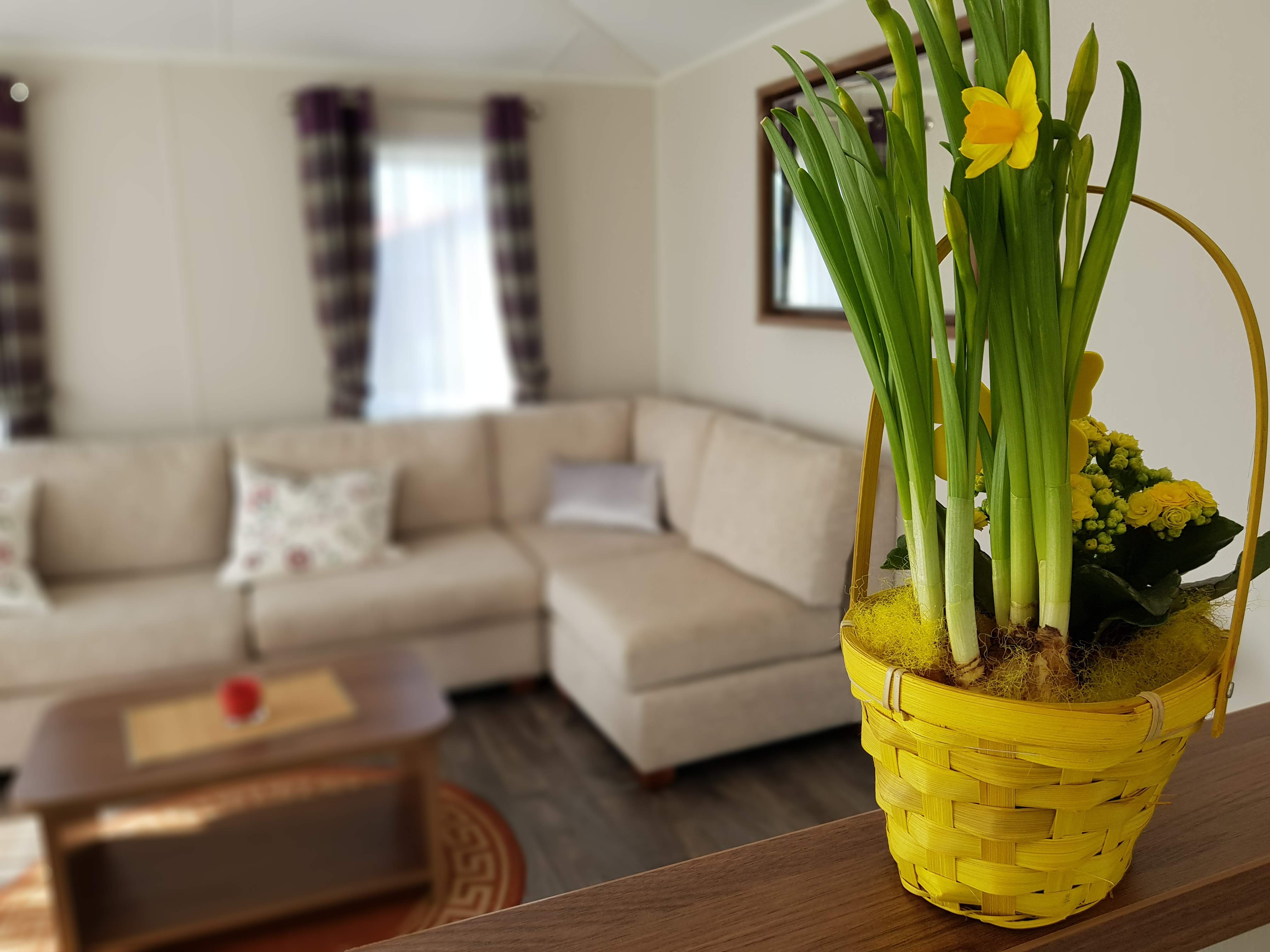 Luxuscamping - getrennte Schlafbereiche - Niedersachsen - Kransburger See Chalet 551 TYP C am Ferienpark Kransburger See