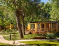 Glampingunterkunft: Lopar Garden Premium auf dem San Marino Camping Resort
