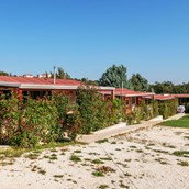 Luxuscamping: Standard auf dem Campingplatz Rojnić