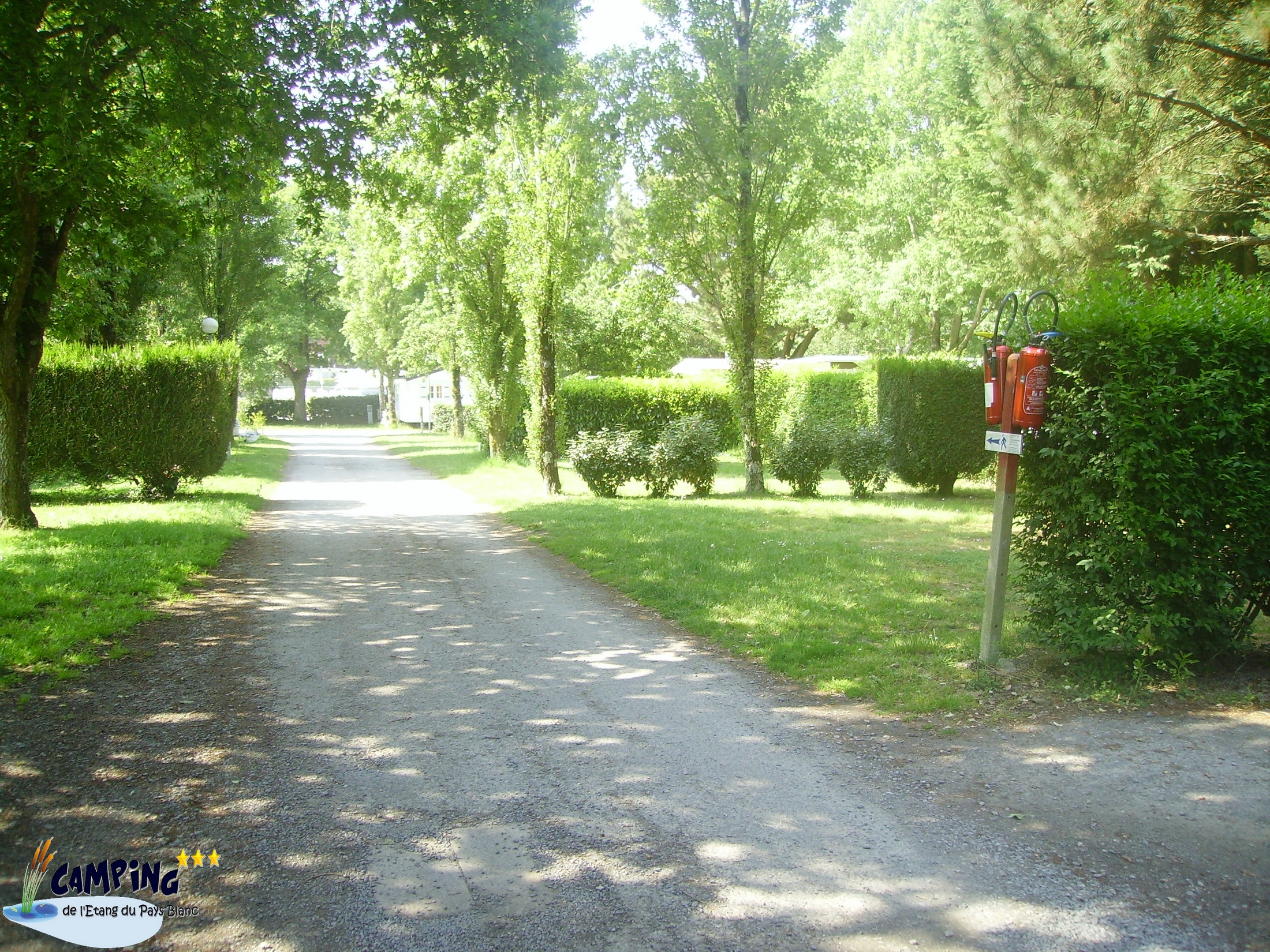 Luxuscamping - Hunde erlaubt - Frankreich - Camping de l’Etang Glampingzelte auf Camping de l’Etang