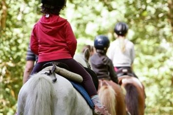 Glampingunterkunft: Reitschule mit Pferden und Ponys - Cottage Key West Suite 5 auf Séquoia Parc