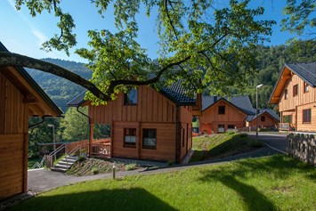 Glampingunterkunft: Feriendorf Berghof - Ferienhaus Premium am Seecamping Berghof